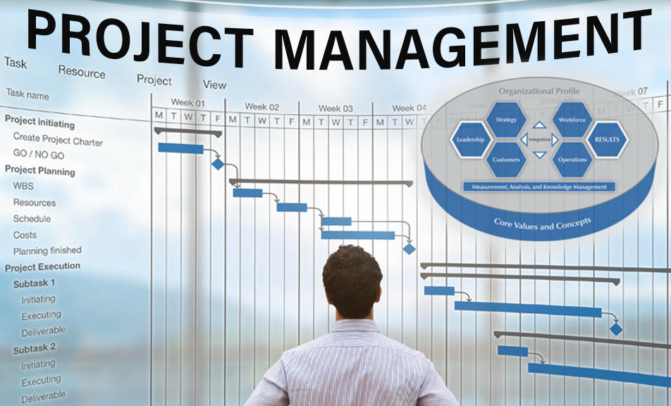 octobits-project-management-it