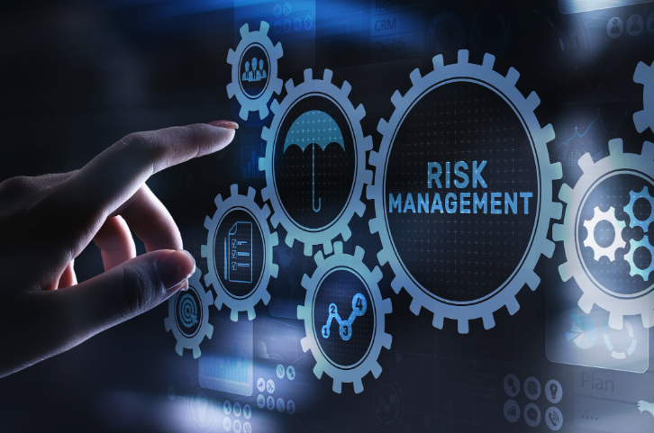 octobits-risk-management-framework-template